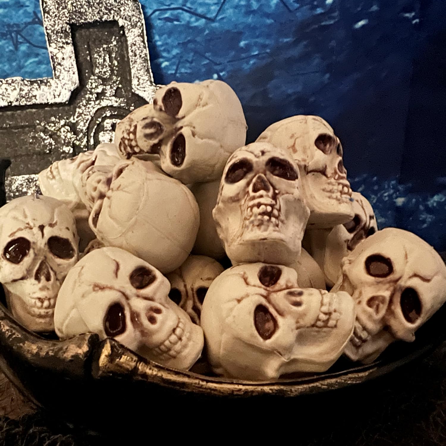 Amazon.com: GiftExpress 12pcs Skulls Human Head Skull Realistic